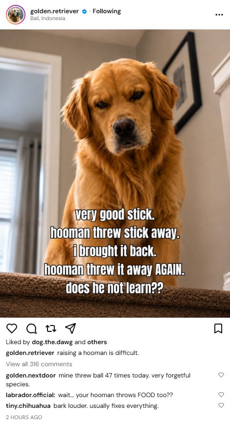 Instagram Post Generator preview