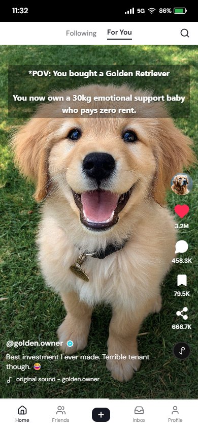 TikTok Post Generator preview