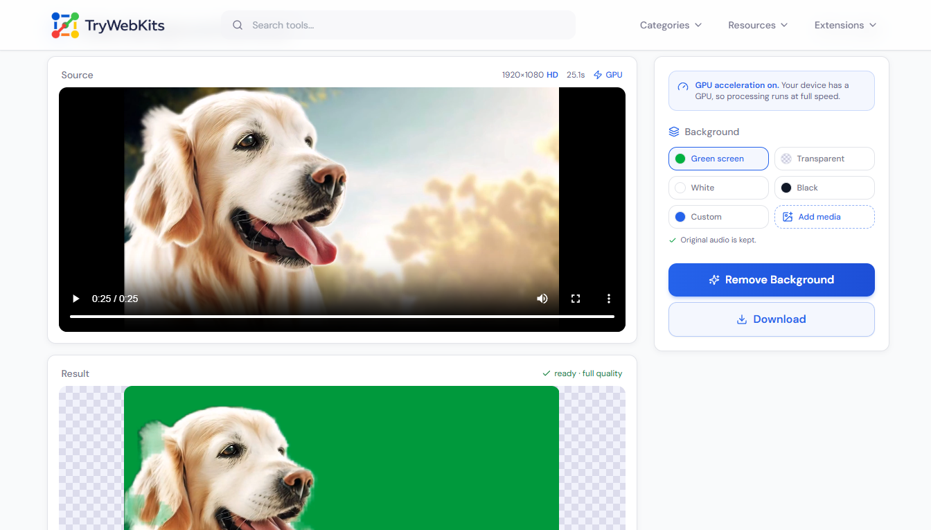 Video Background Remover Preview
